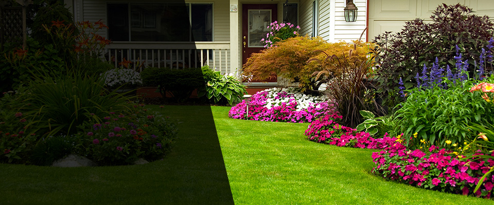 London Landscapers