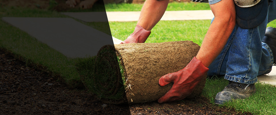 London Landscapers